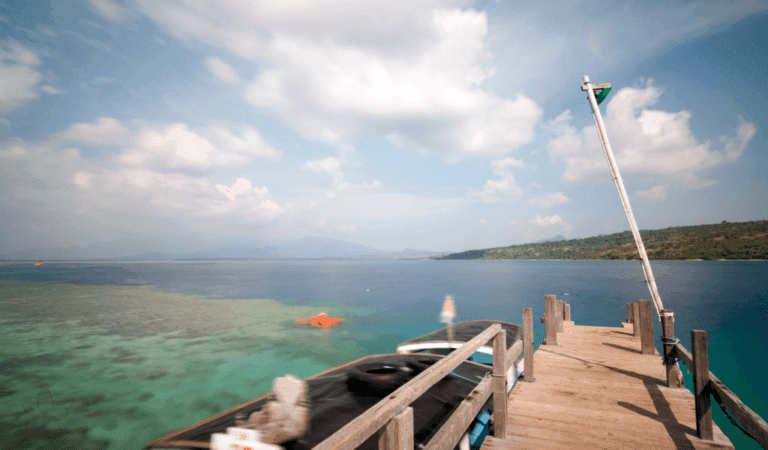 Image en vedette pour :Menjangan Island Snorkelling : Plonger dans un paradis sous-marin