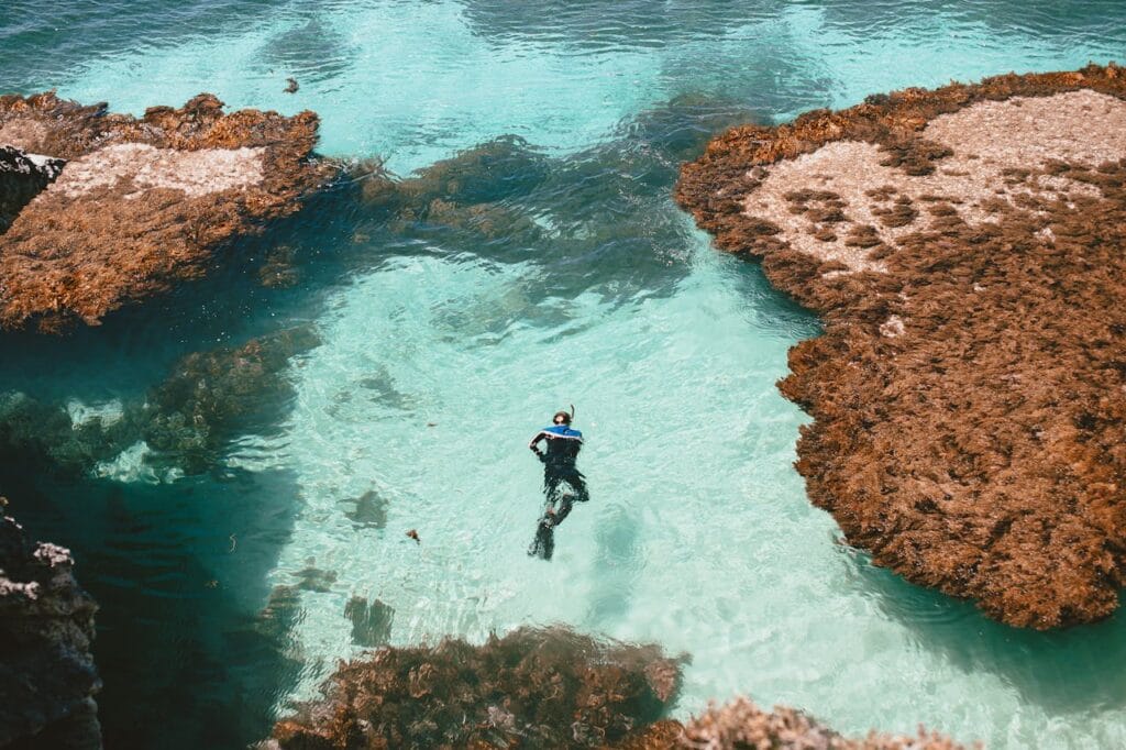 A Man in Black Wet Suit in Water